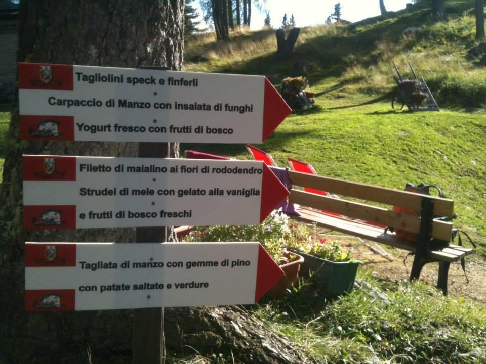 Rifugio Negritella Otel Pozza di Fassa Dış mekan fotoğraf