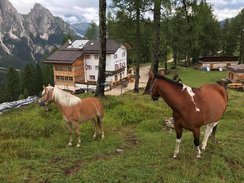 Rifugio Negritella Otel Pozza di Fassa Dış mekan fotoğraf