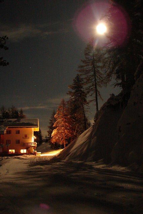 Rifugio Negritella Otel Pozza di Fassa Dış mekan fotoğraf
