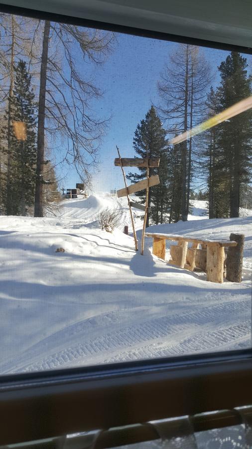 Rifugio Negritella Otel Pozza di Fassa Dış mekan fotoğraf