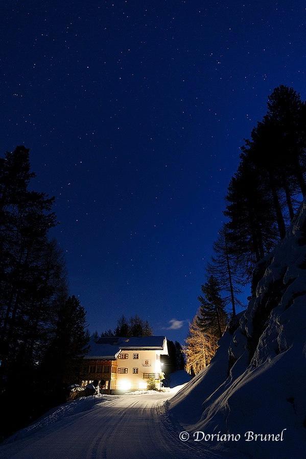 Rifugio Negritella Otel Pozza di Fassa Dış mekan fotoğraf
